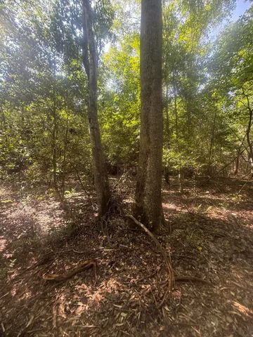 $74,900 | 3 Old Georgetown Road West, Unit HHF 3, Kershaw, SC 29067