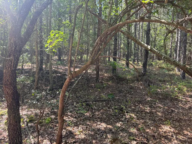 $74,900 | 3 Old Georgetown Road West, Unit HHF 3, Kershaw, SC 29067