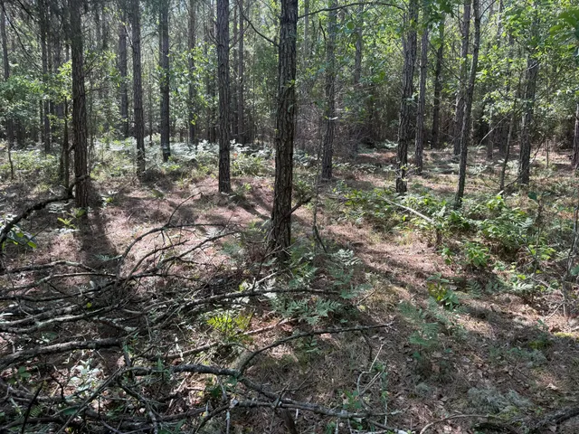 $74,900 | 3 Old Georgetown Road West, Unit HHF 3, Kershaw, SC 29067