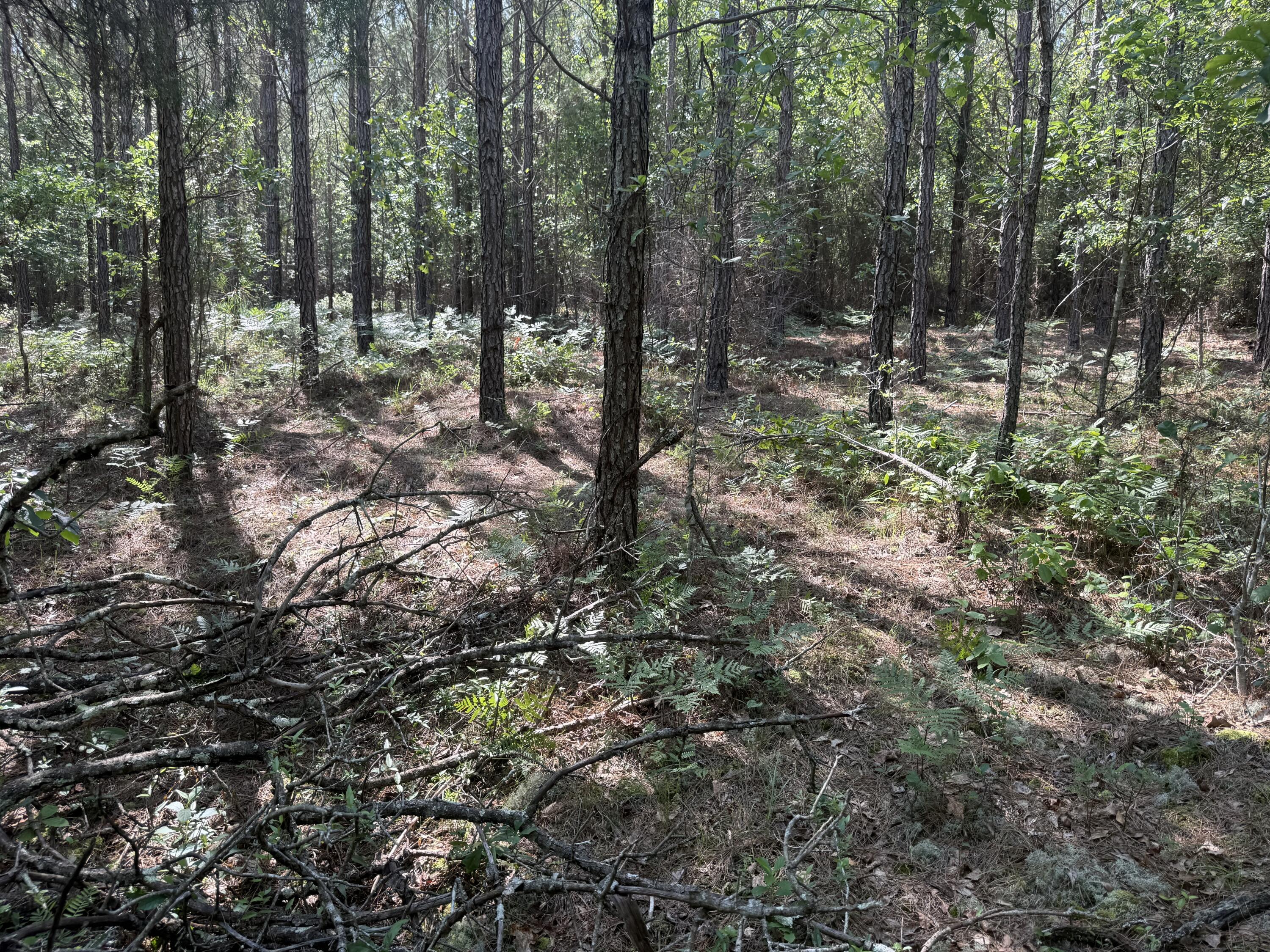 3 Old Georgetown Road West, Unit HHF 3 Kershaw, SC 29067 - Photo 5 of 8 HHf5