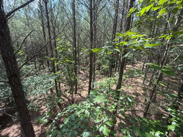 $74,900 | 3 Old Georgetown Road West, Unit HHF 3, Kershaw, SC 29067