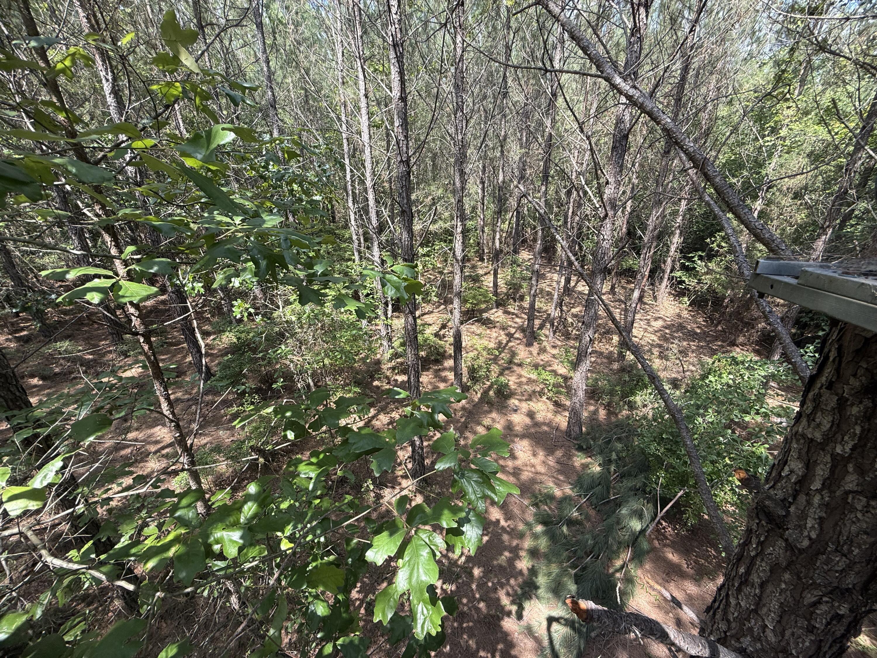 3 Old Georgetown Road West, Unit HHF 3 Kershaw, SC 29067 - Photo 8 of 8 HHF2