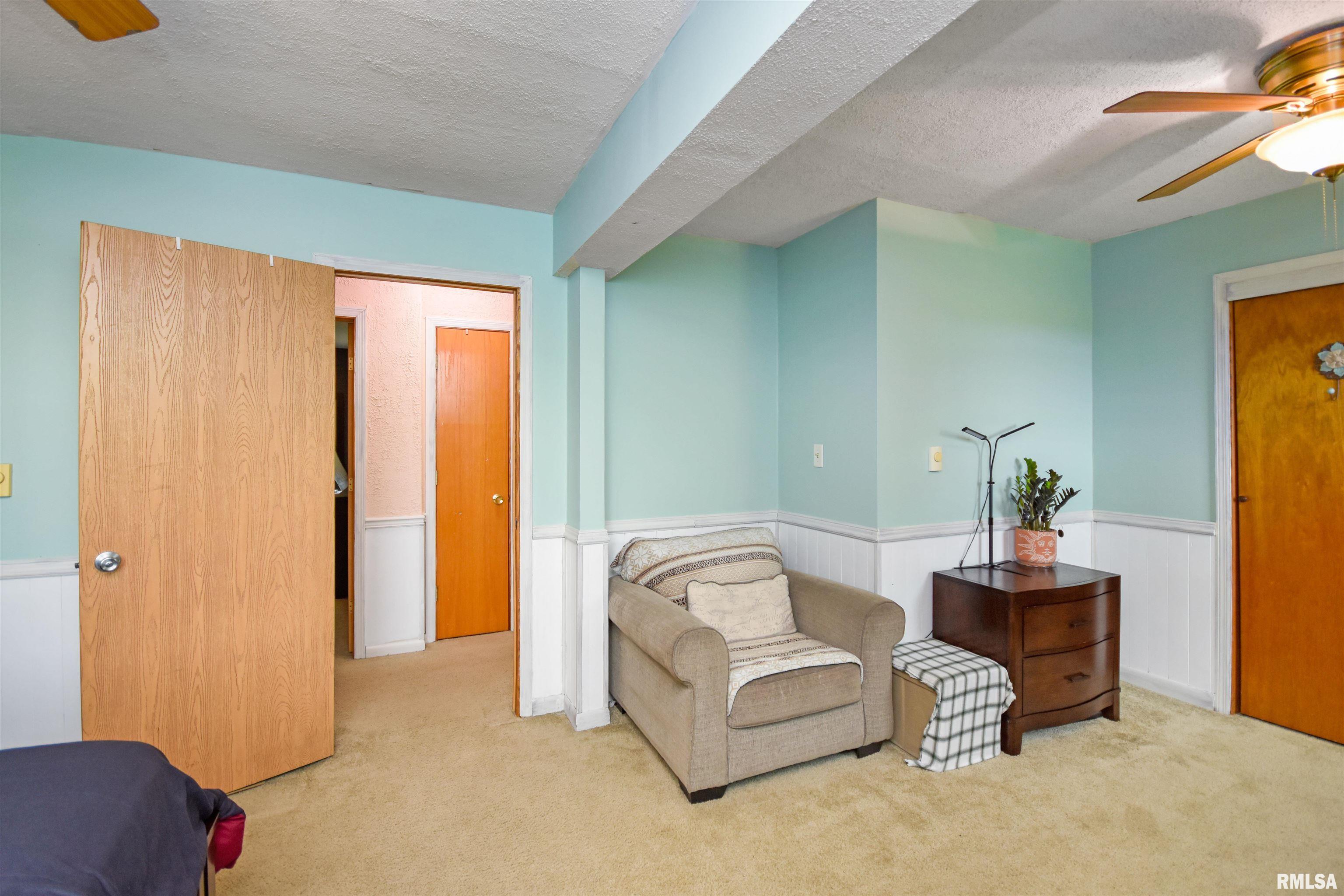 335 Dodge Street Cisco, IL 61830 - Photo 44 of 87