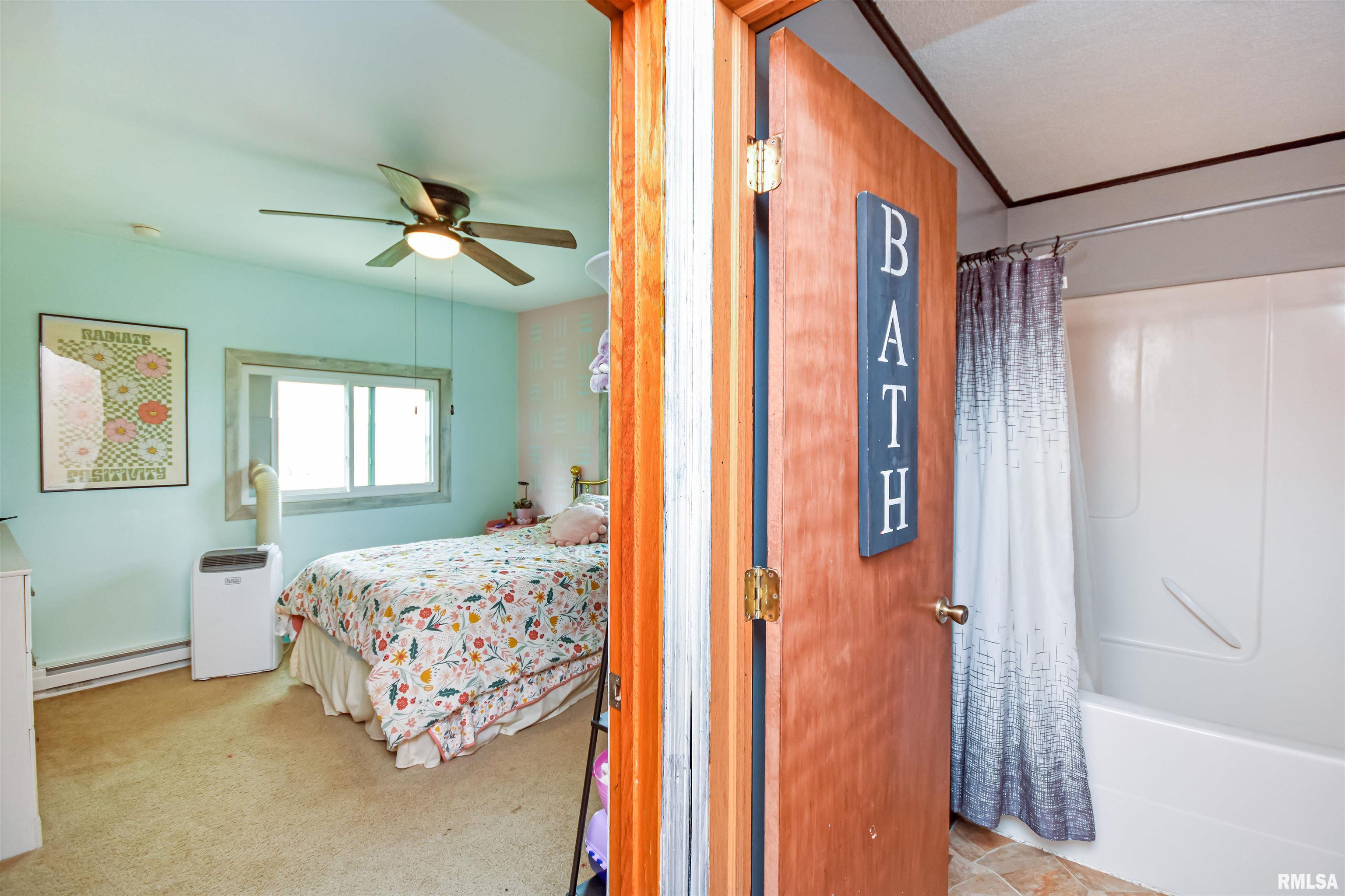 335 Dodge Street Cisco, IL 61830 - Photo 50 of 87