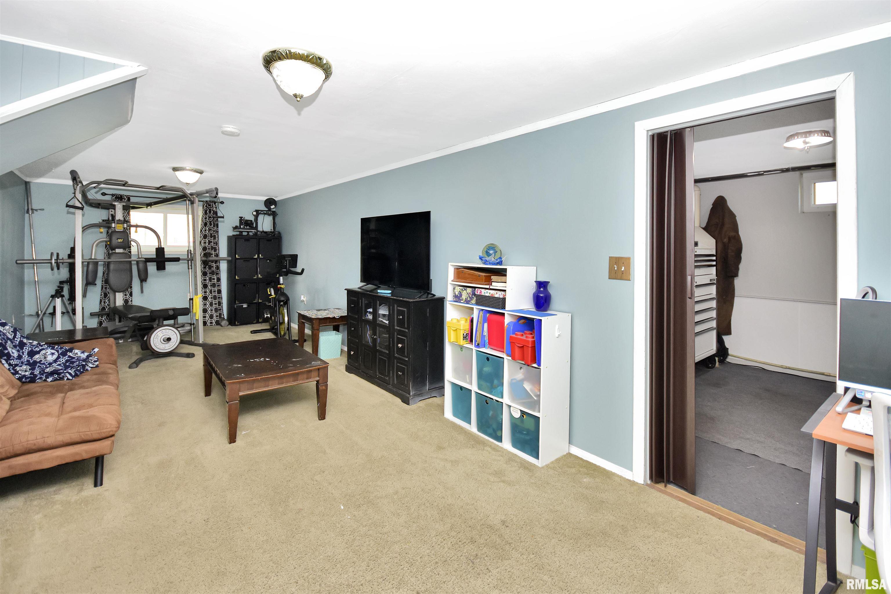 335 Dodge Street Cisco, IL 61830 - Photo 59 of 87