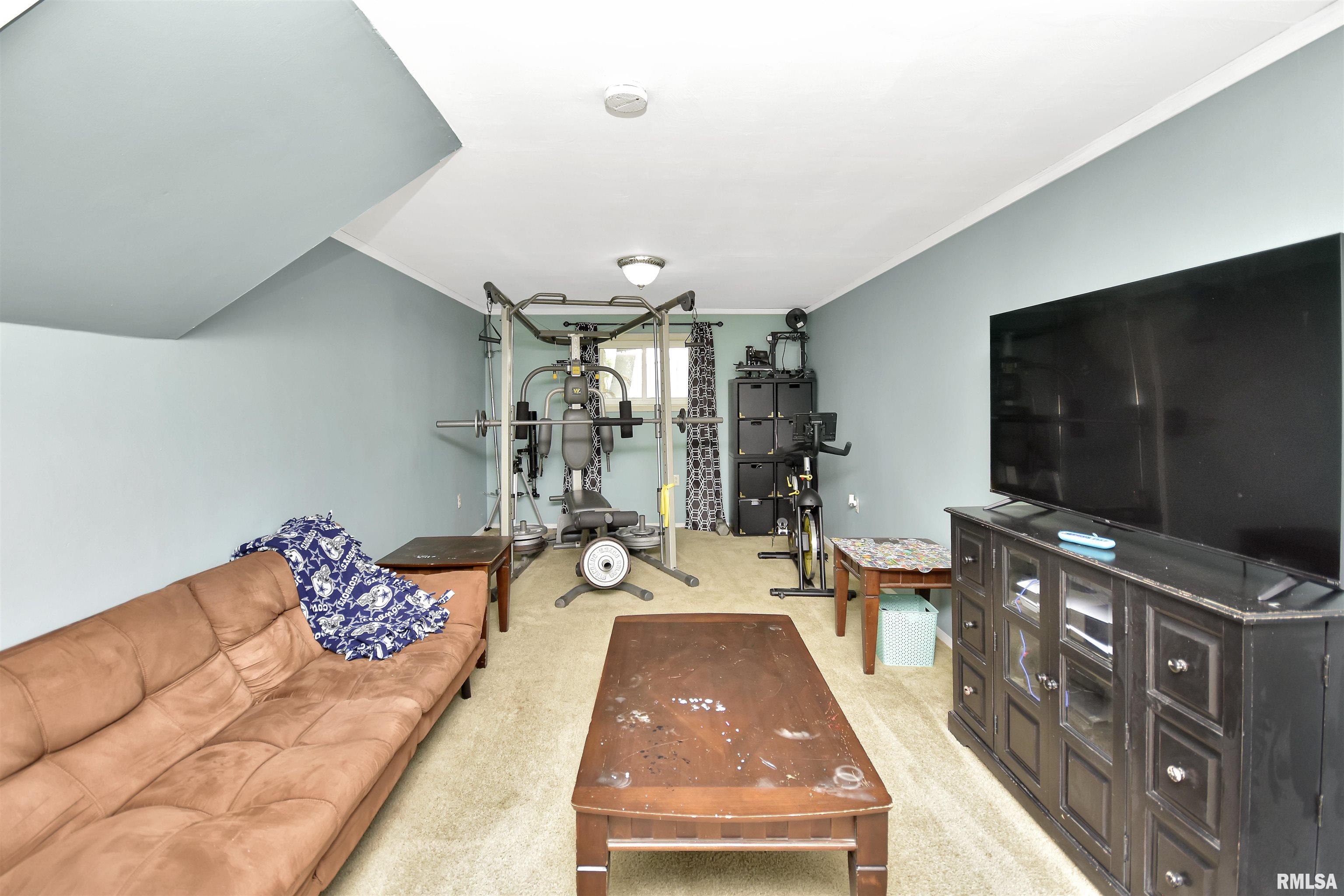 335 Dodge Street Cisco, IL 61830 - Photo 60 of 87