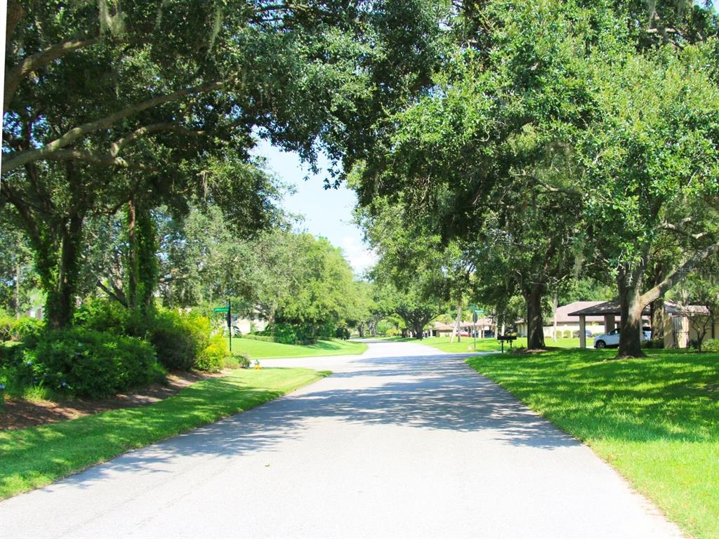 2282 Firestone Place Winter Haven, FL 33884 - Photo 29 of 34 a view of a fountain in front of a house with large trees