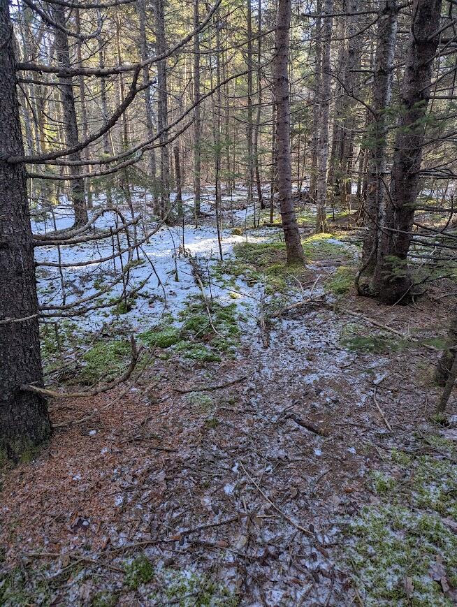 19 Tamarack Lane Cushing, ME 04563 - Photo 9 of 13