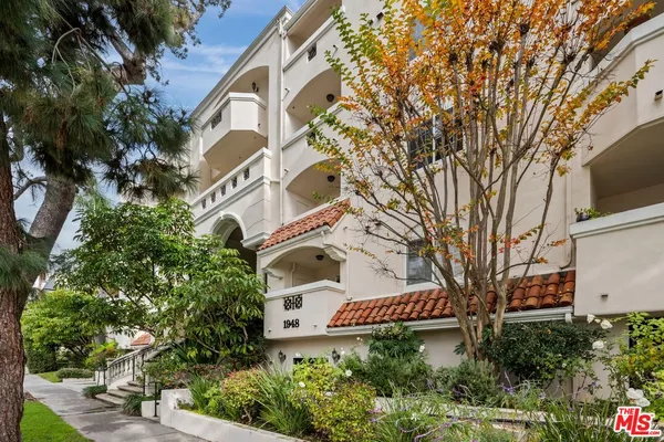 a view of a white house with a large tree and plants