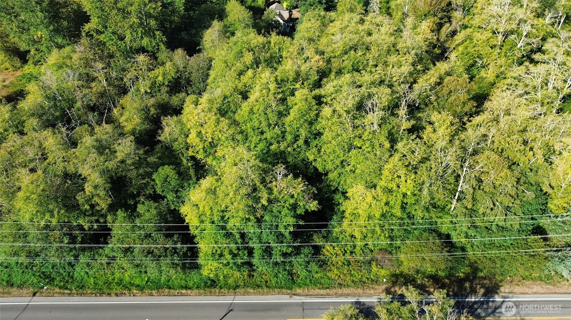 0 Bethel Road Southeast Port Orchard, WA 98366 - Photo 2 of 6 a view of a yard with plants