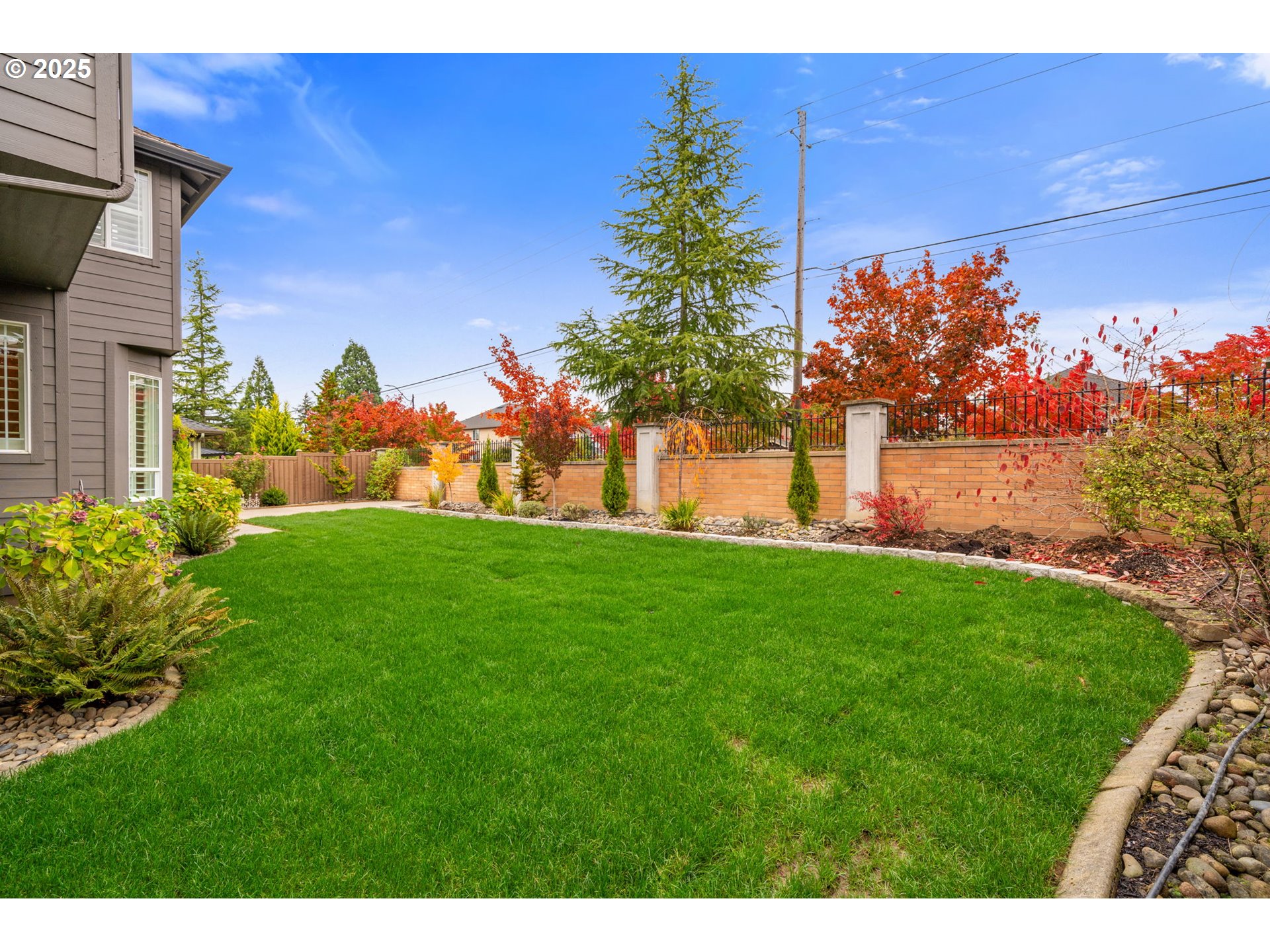 1516 South Dusky Drive Ridgefield, WA 98642 - Photo 20 of 43 a view of a yard with an tree and a bench
