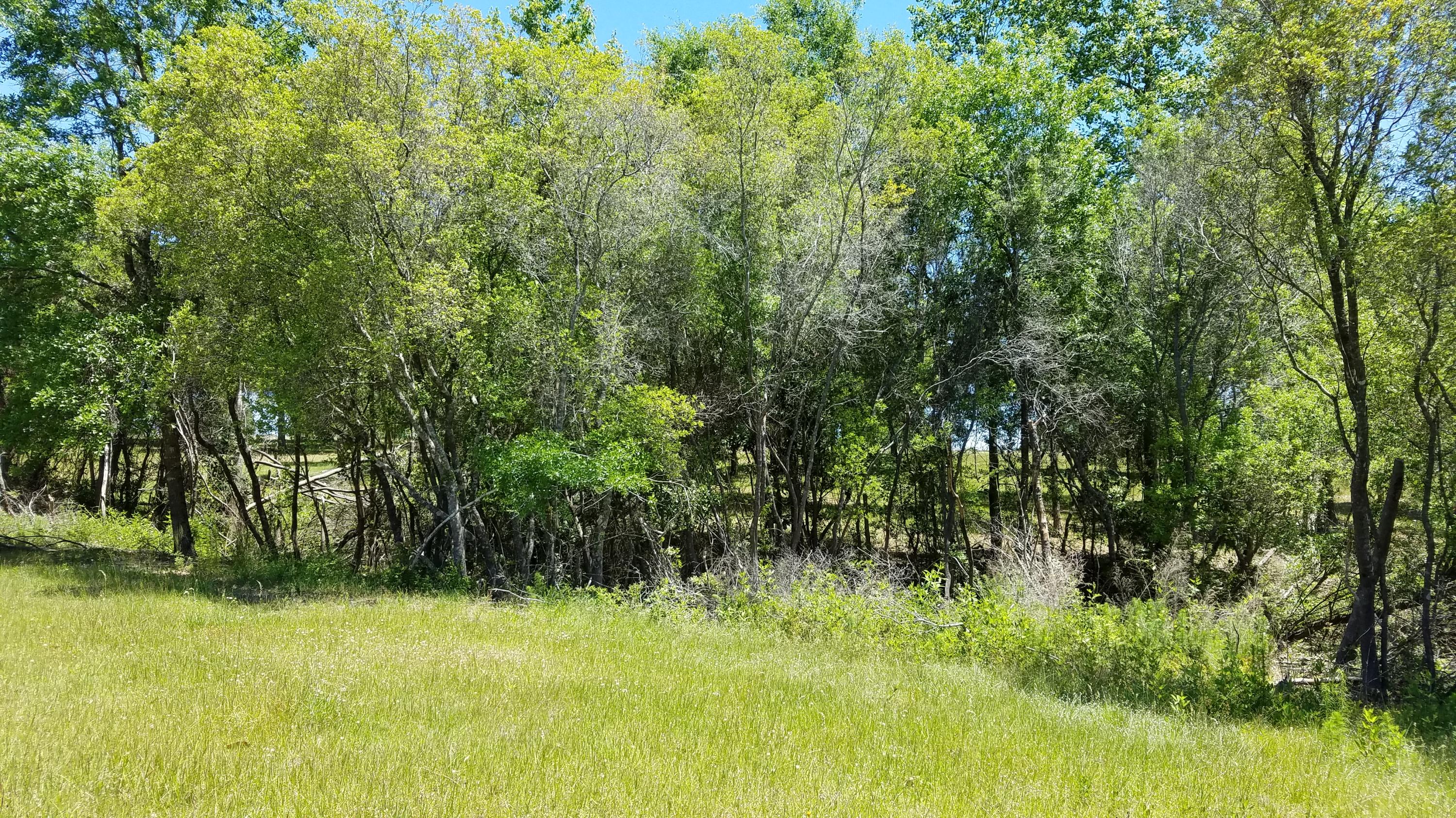 Xxx Kls Ranch Road Crestview, FL 32539 - Photo 22 of 34 Gallery Image 22
