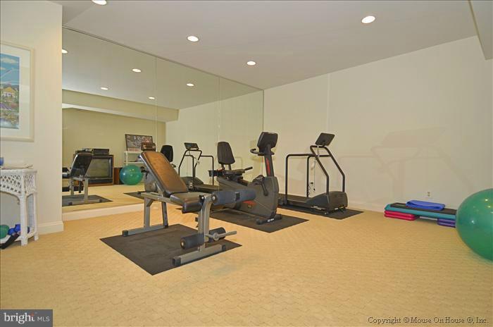 11085 Pelham Manor Place Reston, VA 20194 - Photo 22 of 24 Interior (General)