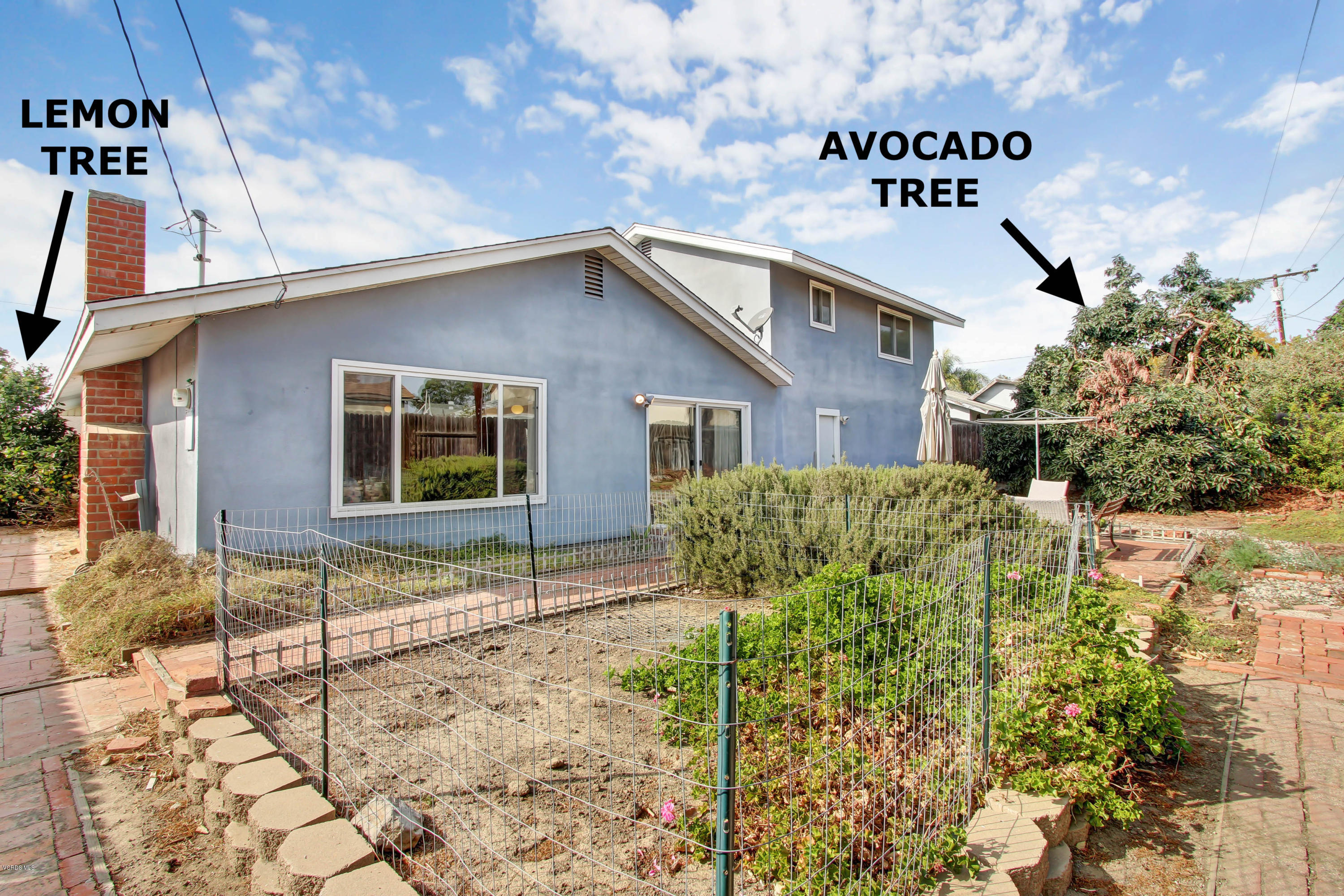 918 Decatur Avenue Ventura, CA 93004 - Photo 25 of 25 Backyard Trees