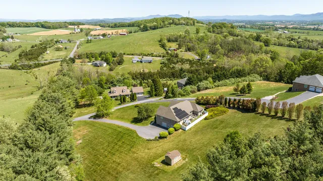 a view of a tree with a plant