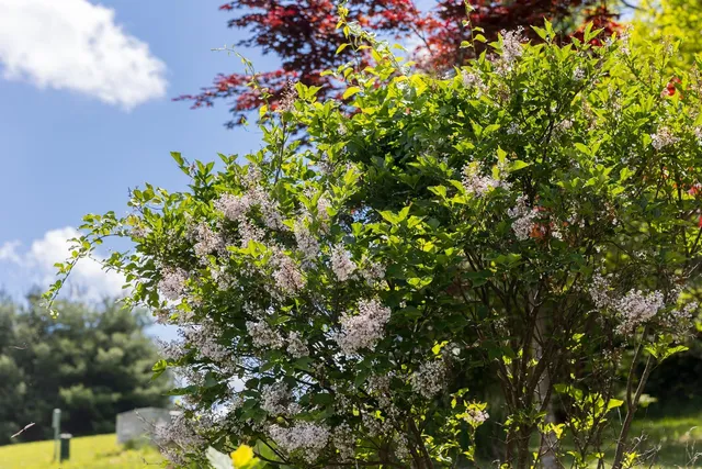 a kitchen with stainless steel appliances granite countertop a stove top oven a sink dishwasher and a refrigerator with wooden floor