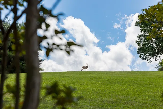 $682,000 | 81 Cedar Creek Lane, Fort Defiance, VA 24437