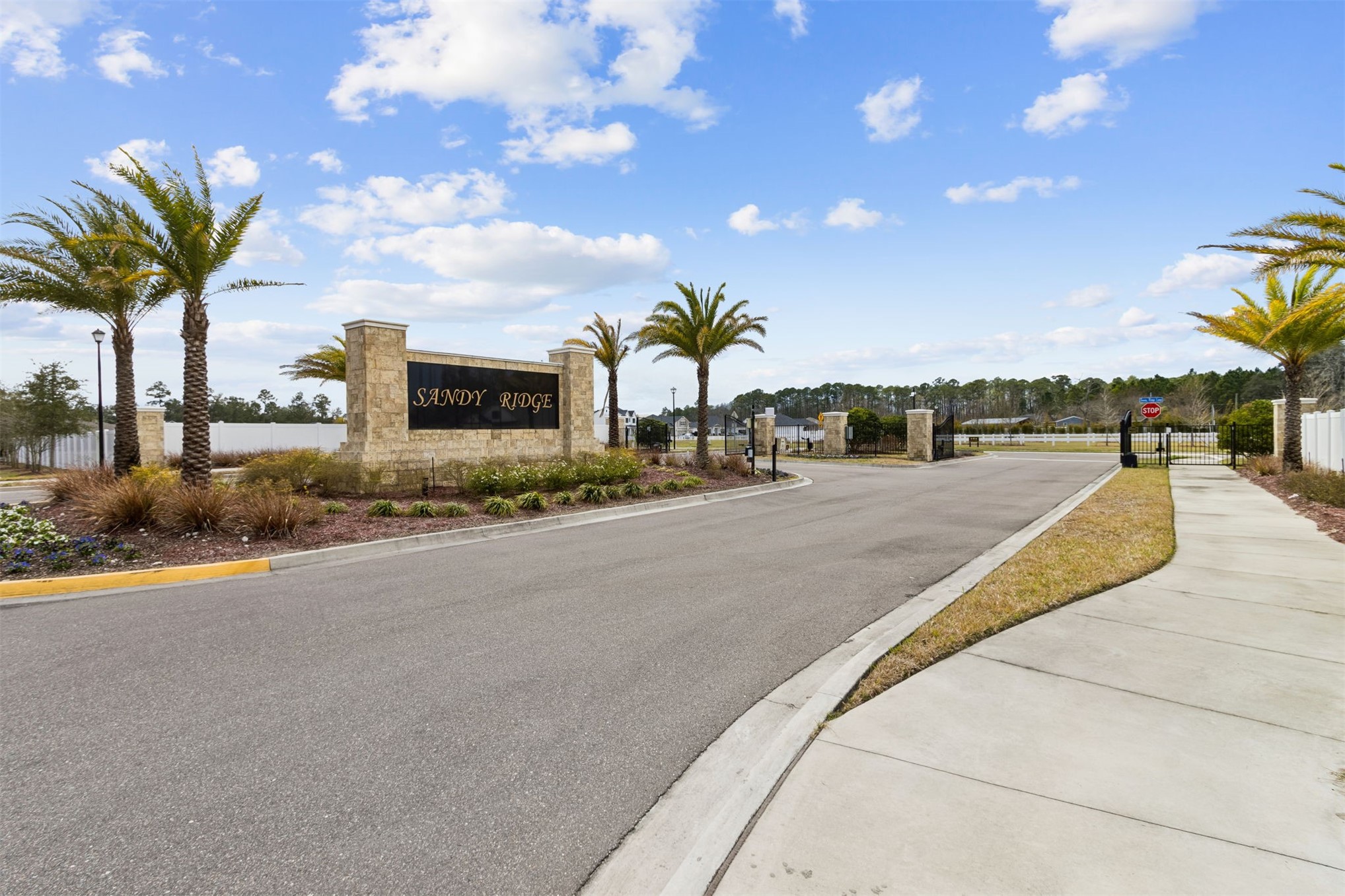 85292 Sandy Rdg Loop Yulee, FL 32097 - Photo 43 of 58 Gallery Image 43