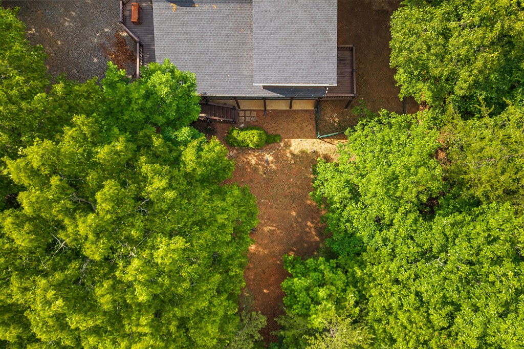 220 Blue Ridge Trail Morganton, GA 30560 - Photo 53 of 58