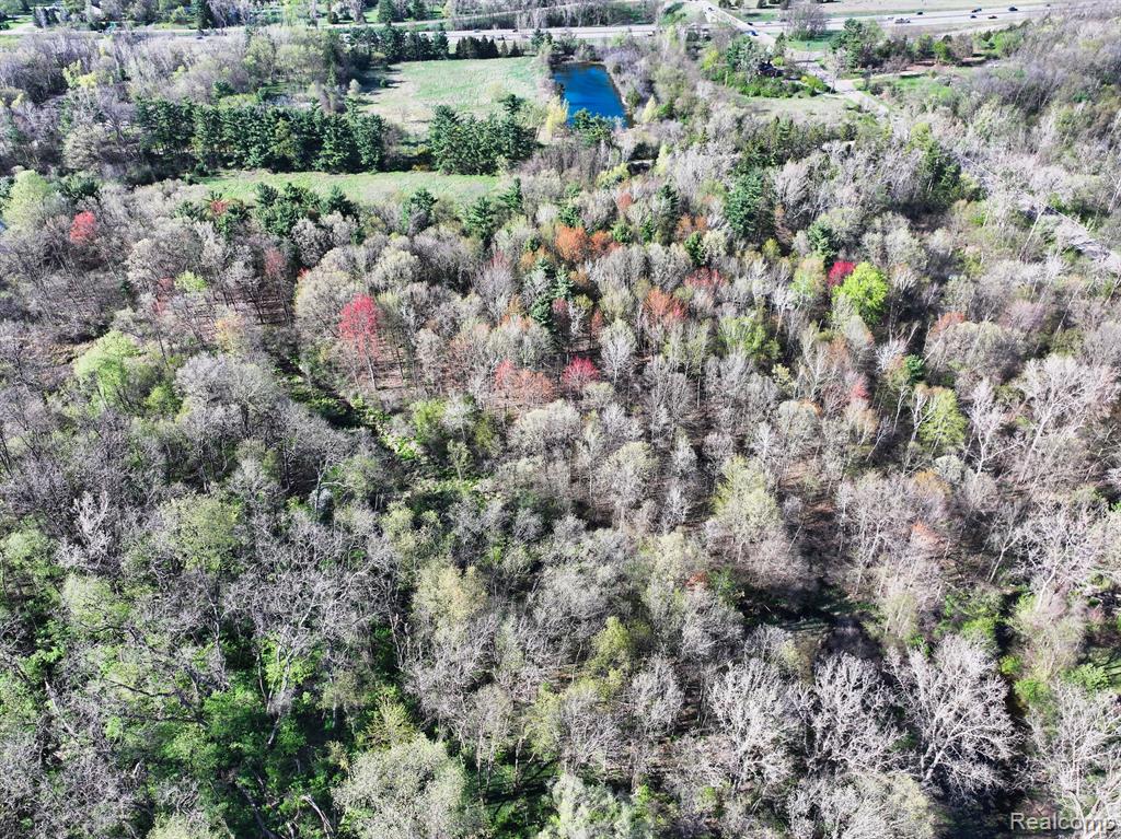 5920 Pleasant Valley Road Brighton, MI 48116 - Photo 11 of 40