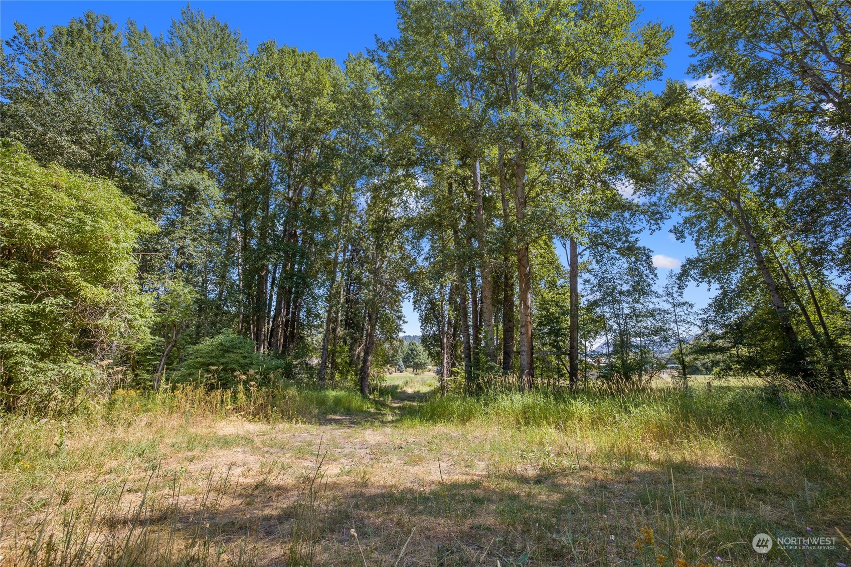 0 Timber Valley Road Cle Elum, WA 98922 - Photo 8 of 21 Gallery Image 8