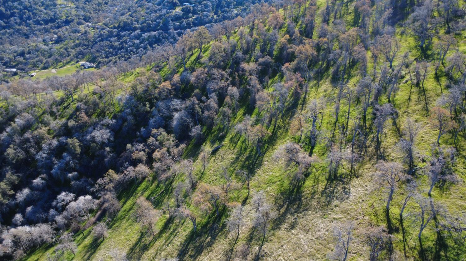 0 Ruth Hill Road Squaw Valley, CA 93675 - Photo 22 of 31