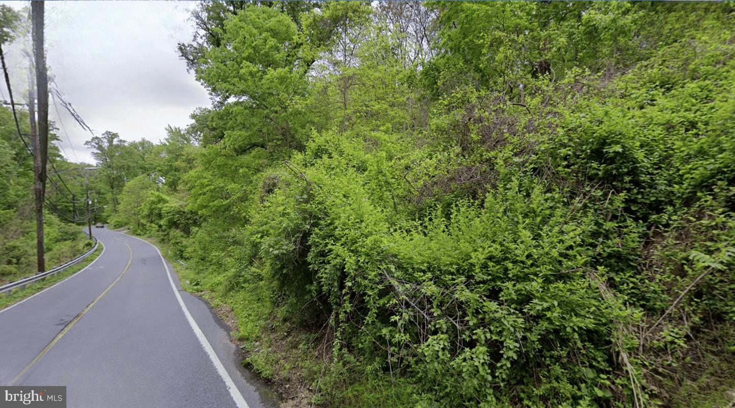12955 Old Fort Road Fort Washington, MD 20744 - Photo 11 of 11 Lush greenery lining a winding road.