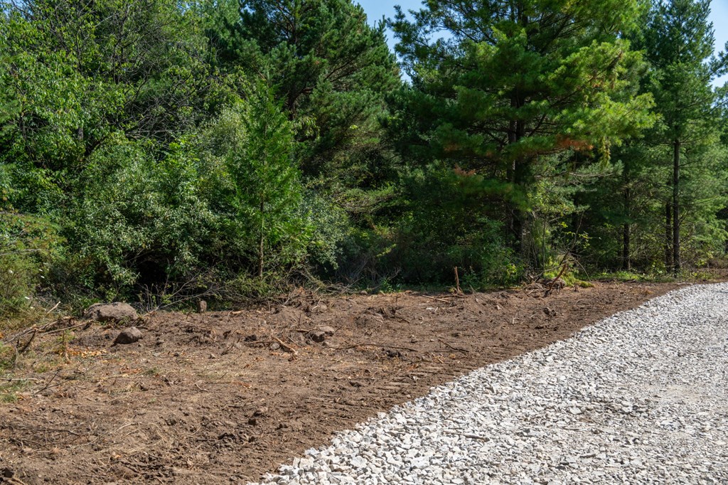Lot 2 Scandia Road Sister Bay, WI 54234 - Photo 5 of 17