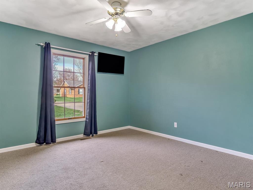 454 Mary Drive Waterloo, IL 62298 - Photo 11 of 22