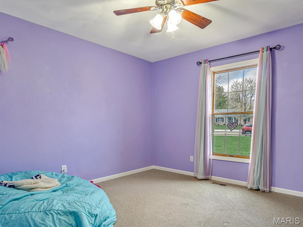 454 Mary Drive Waterloo, IL 62298 - Photo 12 of 22