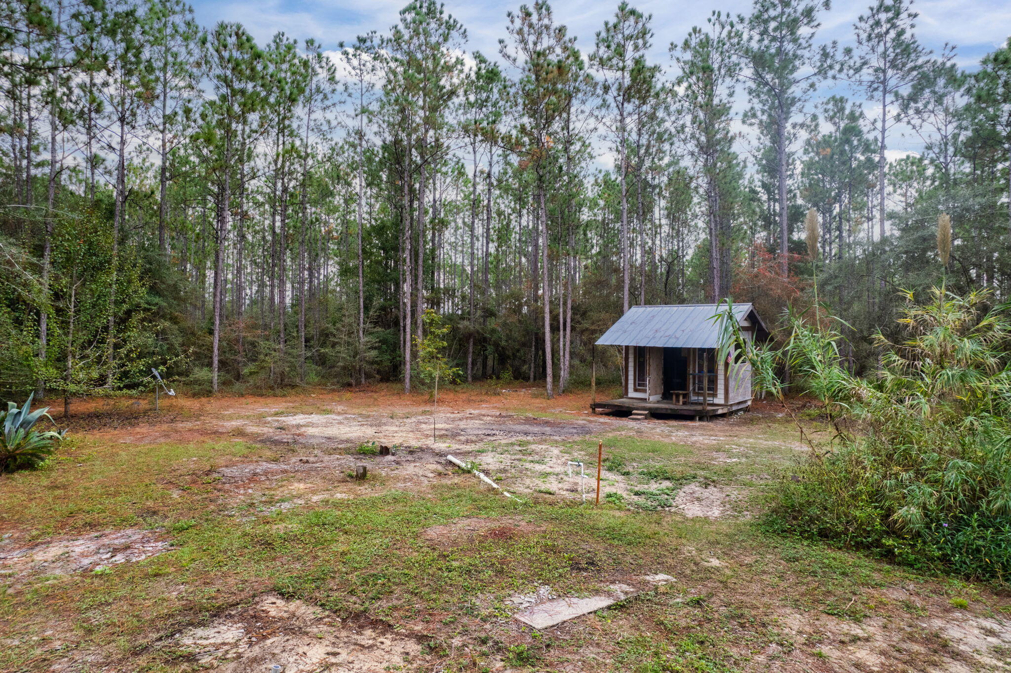 526 Don Graff Road Freeport, FL 32439 - Photo 11 of 20 a view of a garden with large trees
