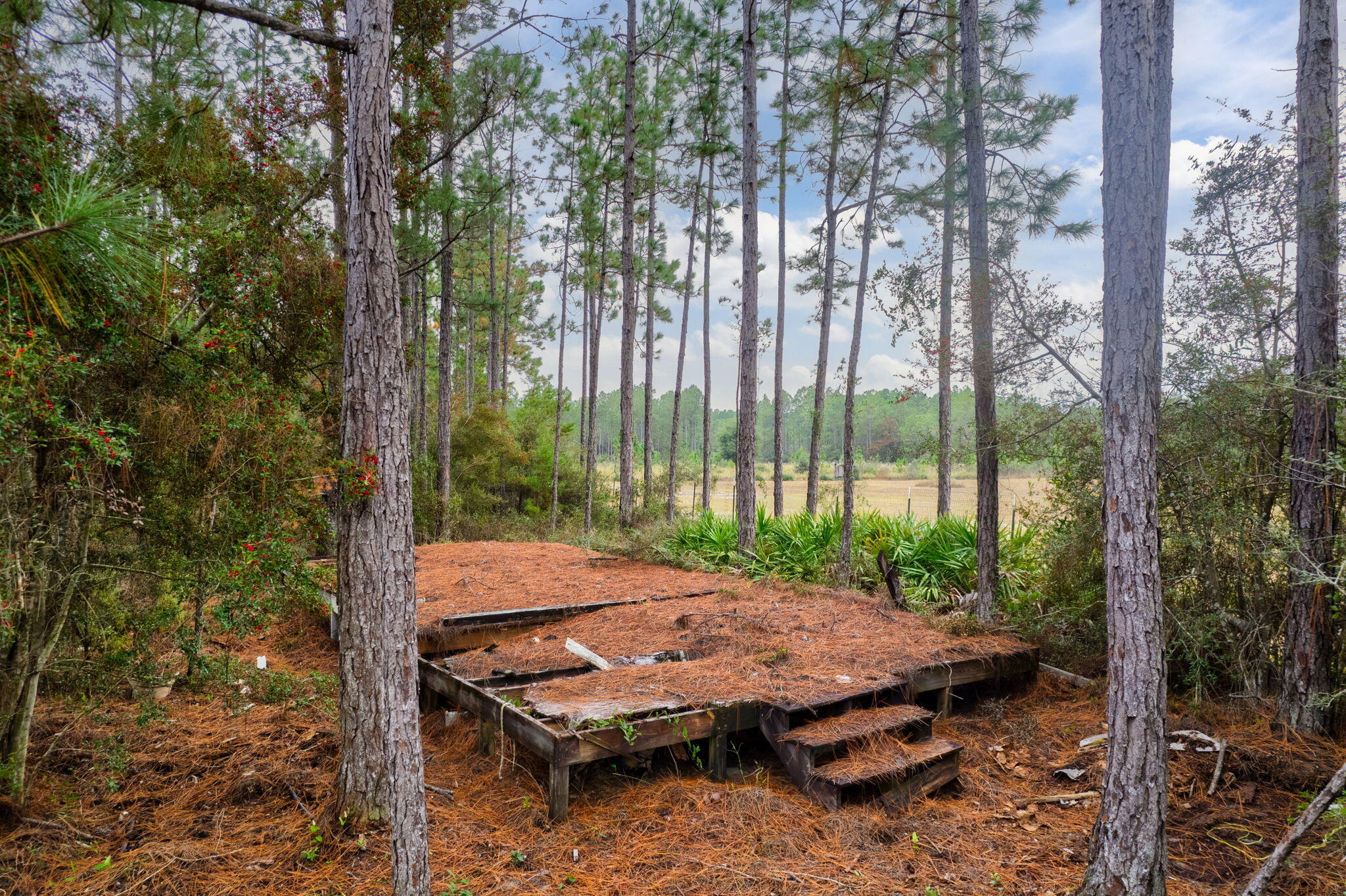 526 Don Graff Road Freeport, FL 32439 - Photo 12 of 20 a view of backyard with green space and outdoor seating