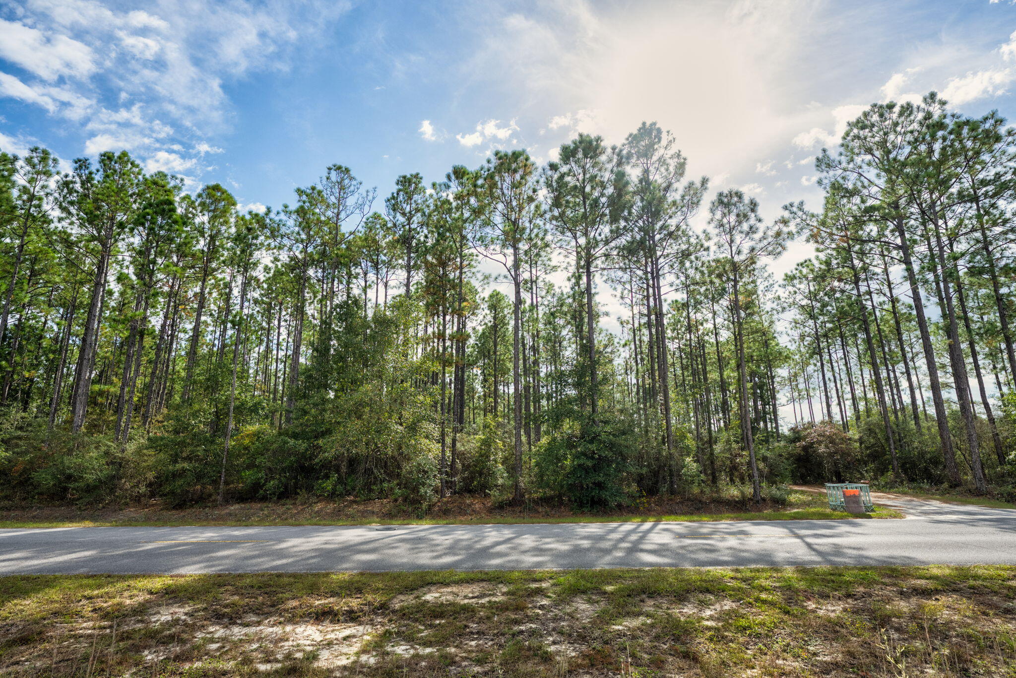 526 Don Graff Road Freeport, FL 32439 - Photo 3 of 20 a view of a yard with plants and trees