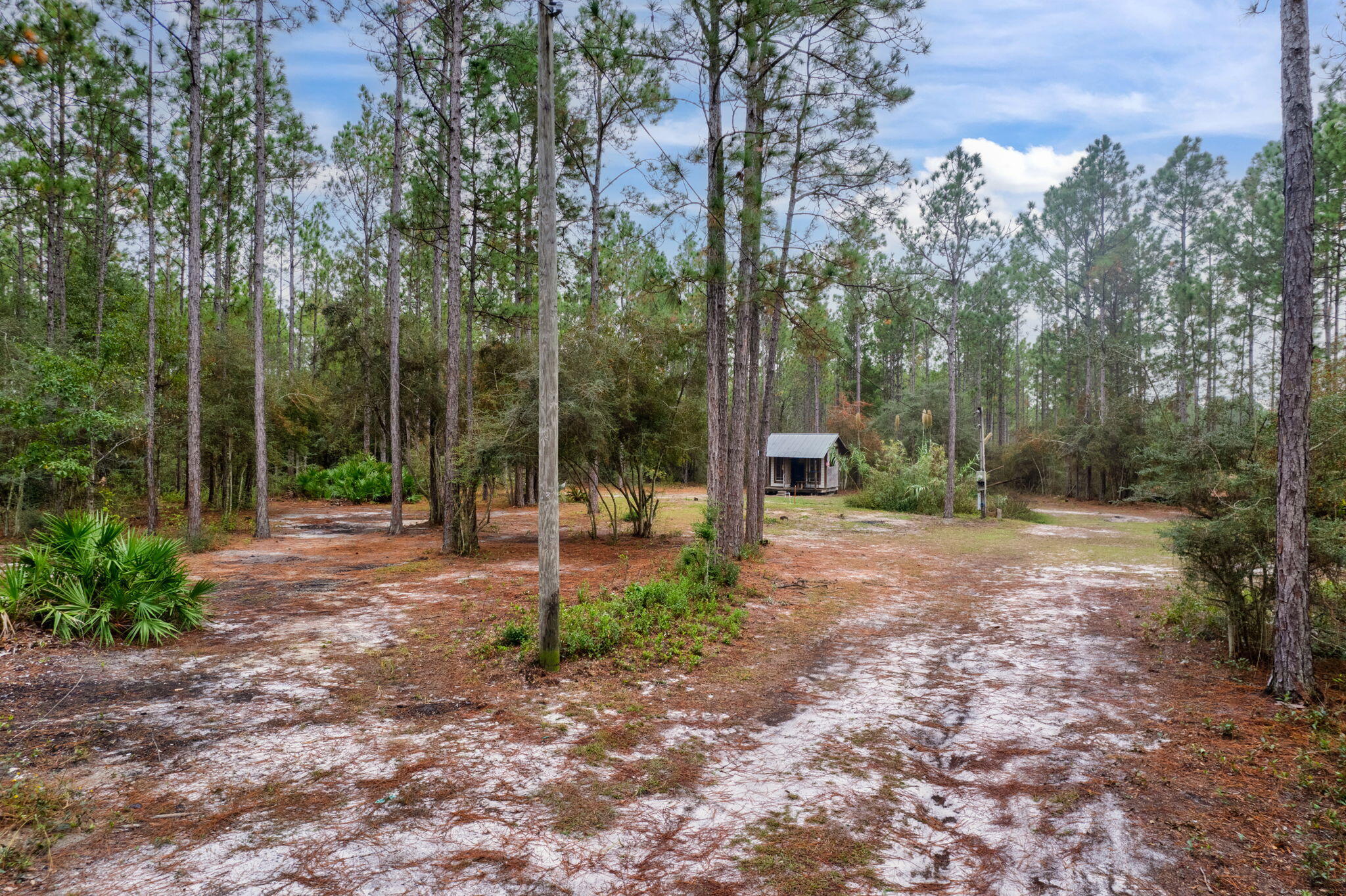 526 Don Graff Road Freeport, FL 32439 - Photo 6 of 20 a view of a park with large trees