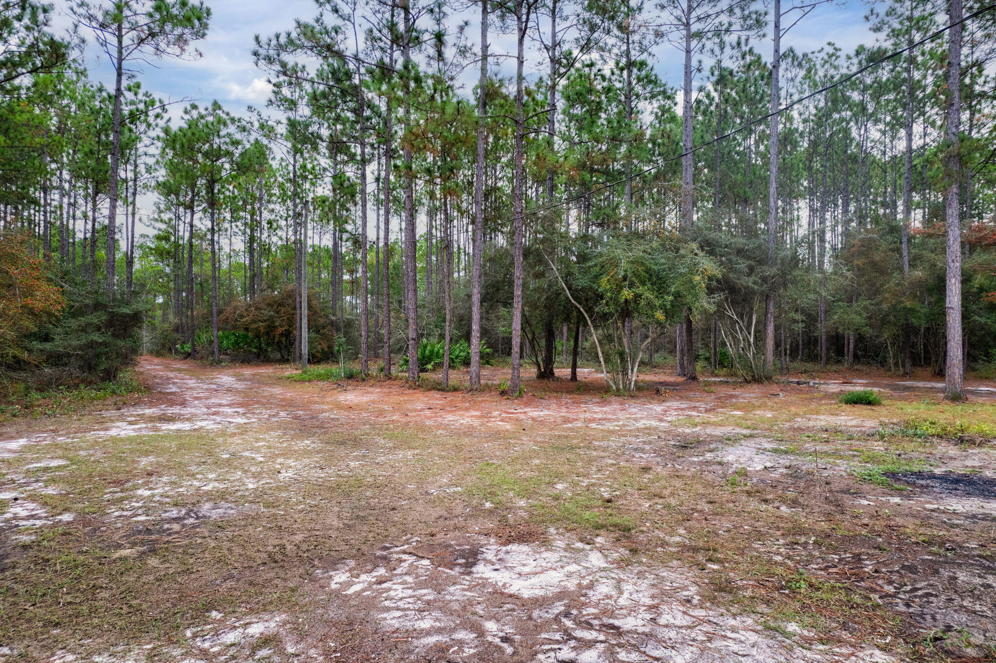 526 Don Graff Road Freeport, FL 32439 - Photo 7 of 20 a view of outdoor space with trees