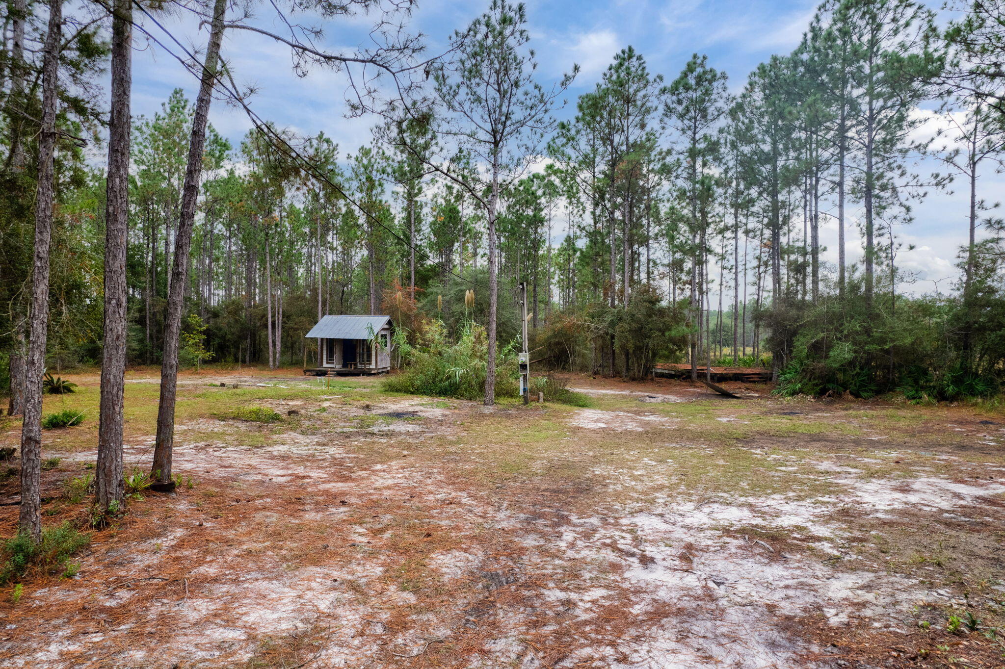 526 Don Graff Road Freeport, FL 32439 - Photo 8 of 20 a view of a outdoor space with trees