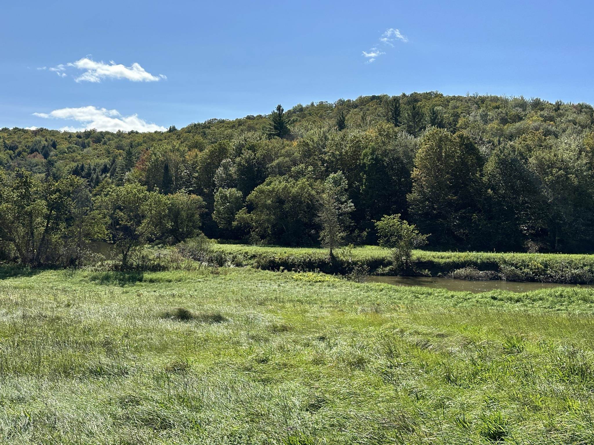 0 Vt Rt 15 Wolcott, VT 05680 - Photo 7 of 8