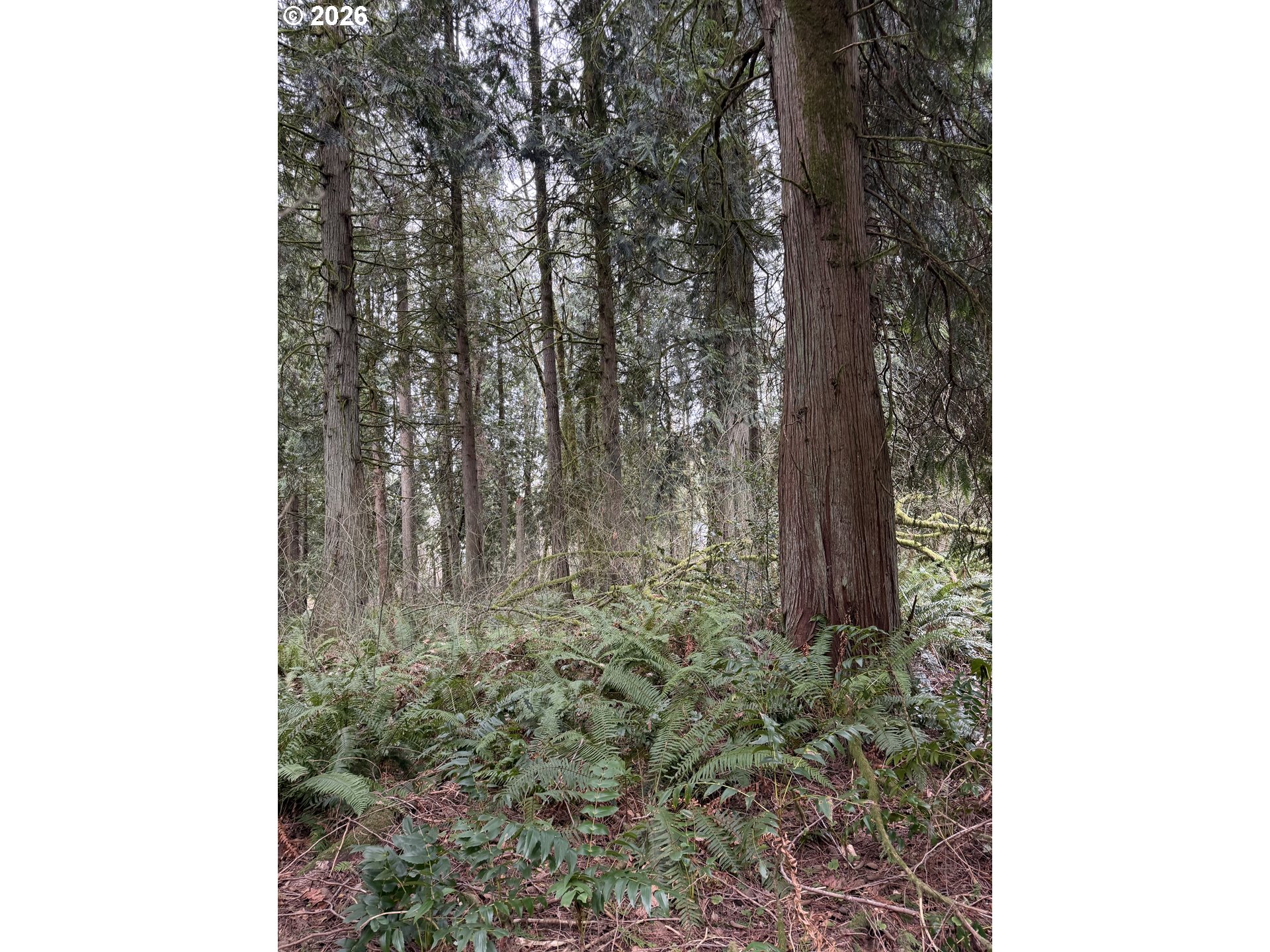 Meserve Road Rainier, OR 97048 - Photo 14 of 16
