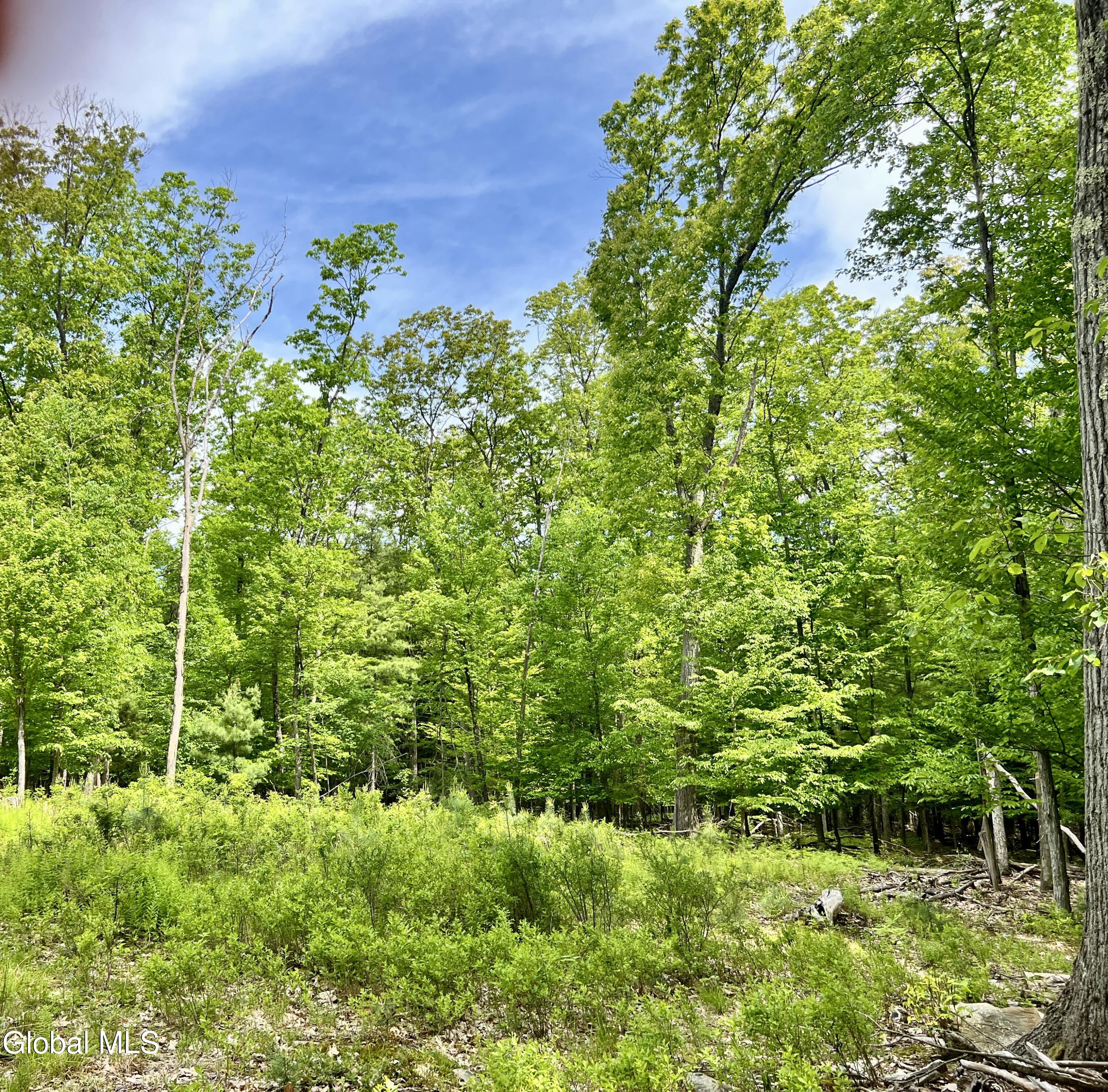25 Catlin Road Poestenkill, NY 12018 - Photo 10 of 14 IMG_8990