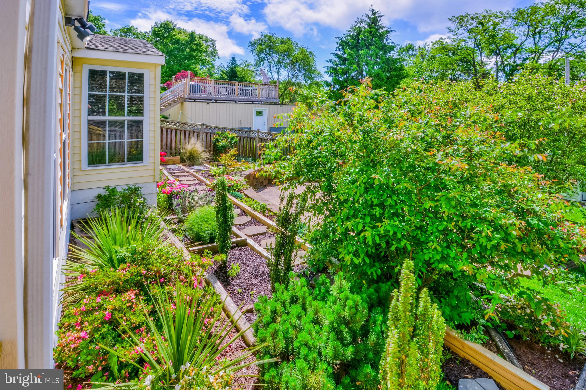 107 Ridge Avenue Baltimore, MD 21227 - Photo 26 of 33 Back Gardens