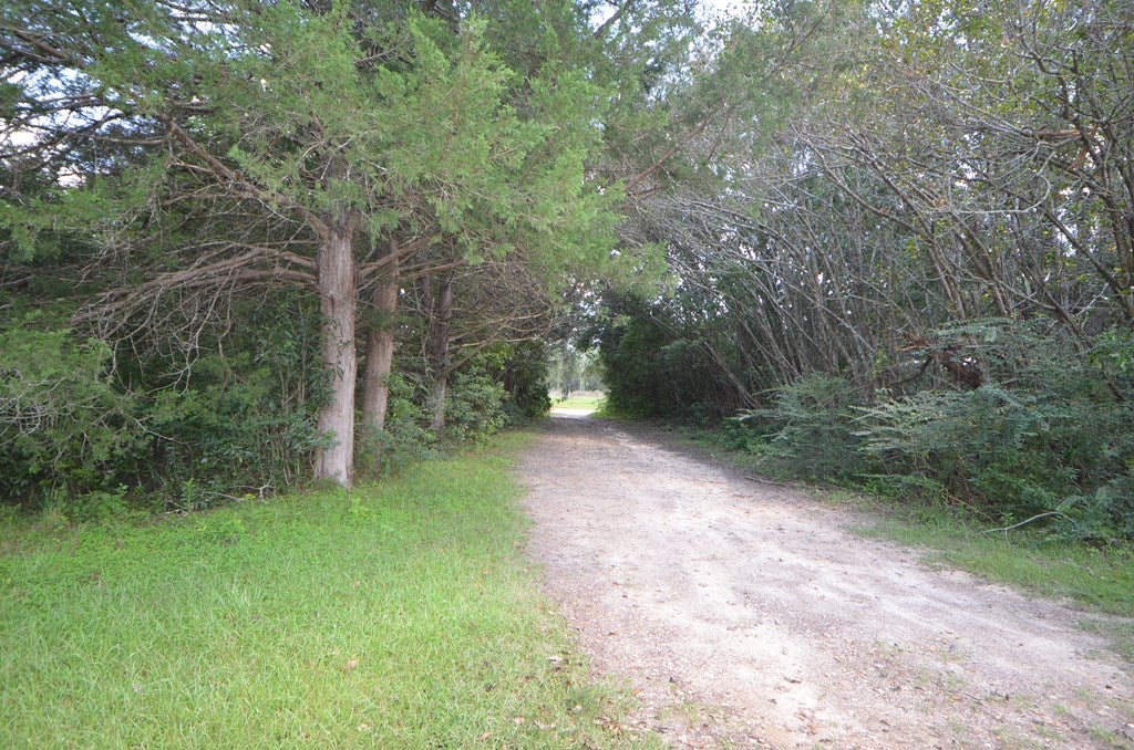 275 Peacock Road Quitman, GA 31643 - Photo 41 of 46 Gallery Image 41