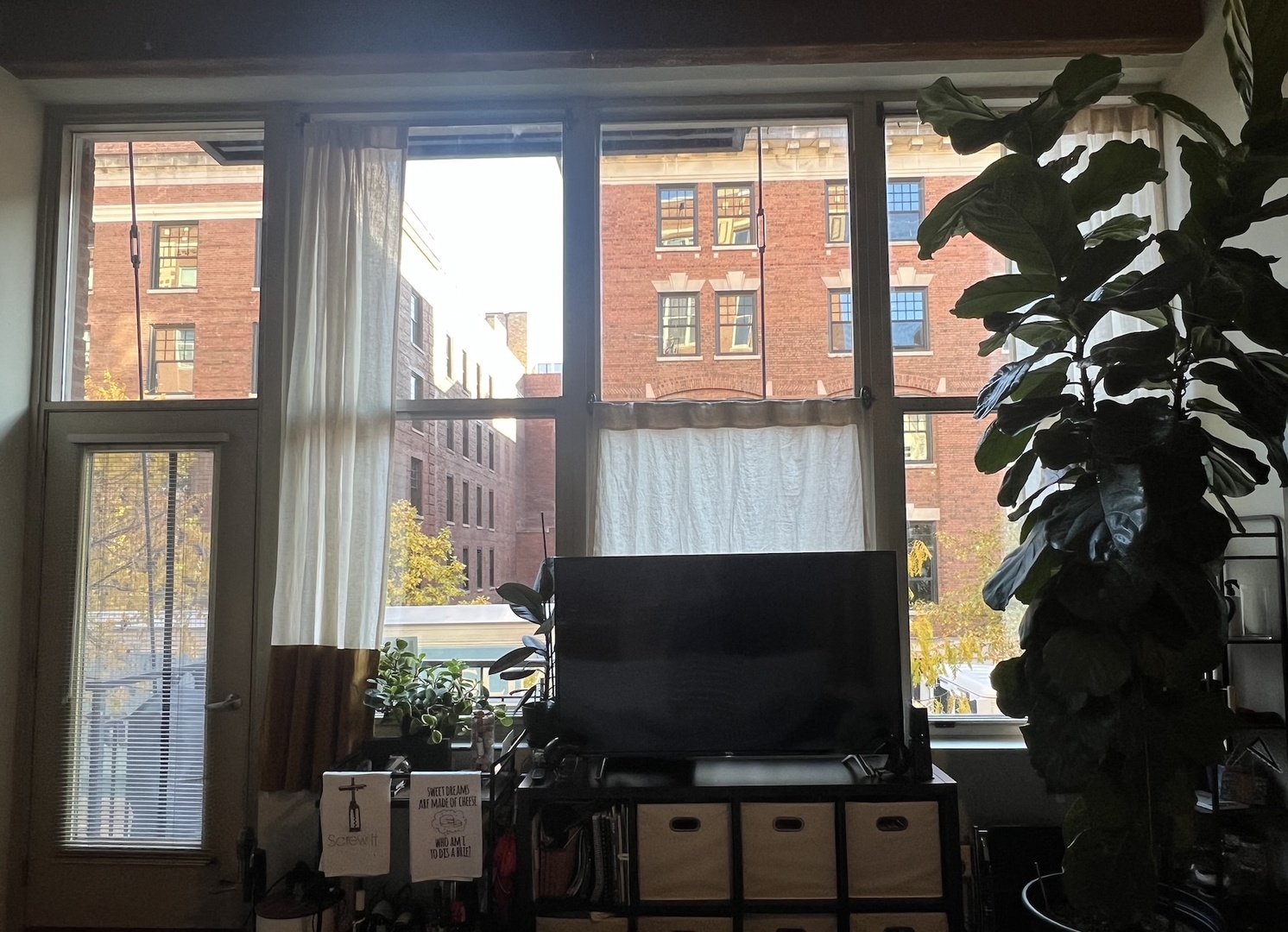 1500 West Monroe Street, Unit 211 Chicago, IL 60607 - Photo 4 of 6