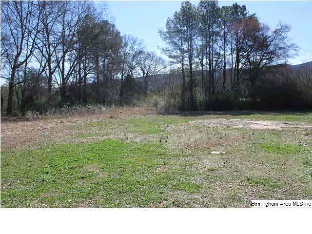 187 Forgotten Road Piedmont, AL 36272 - Photo 24 of 28