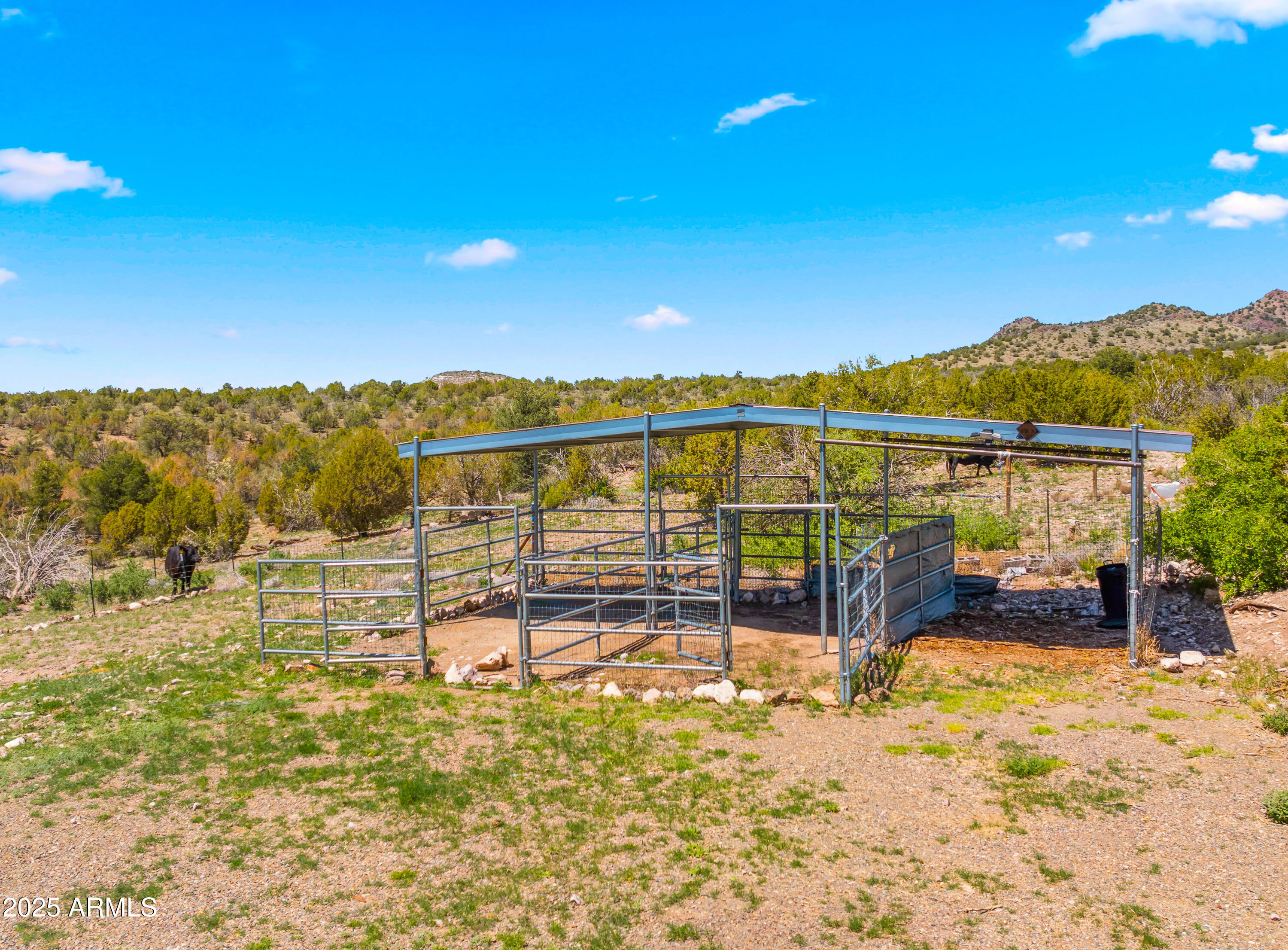 6600 West Rambling Road Prescott, AZ 86305 - Photo 51 of 61 Horse Corral