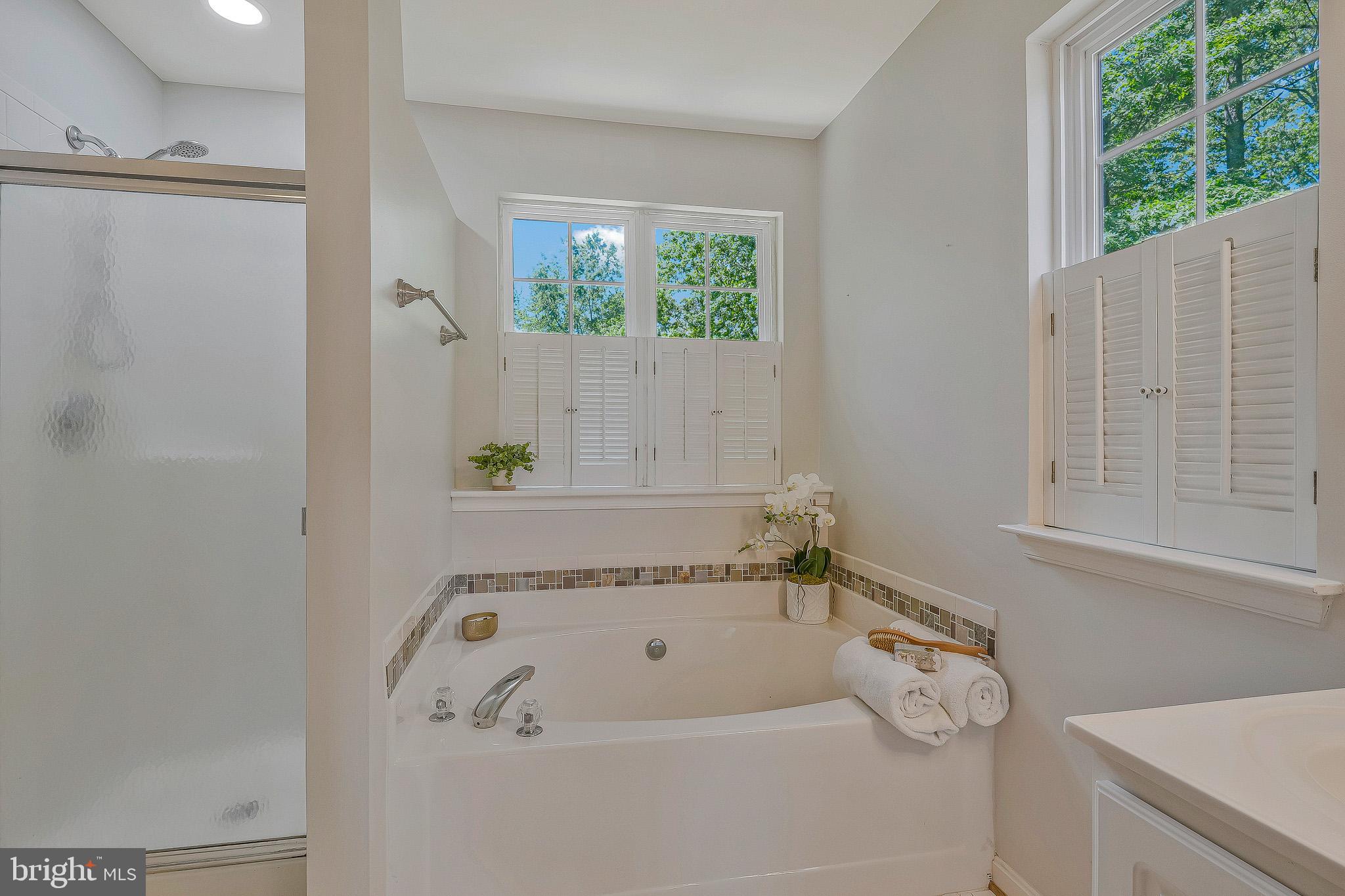 11587 Wollaston Circle Swan Point, MD 20645 - Photo 25 of 55 a bathroom with a bathtub and a window