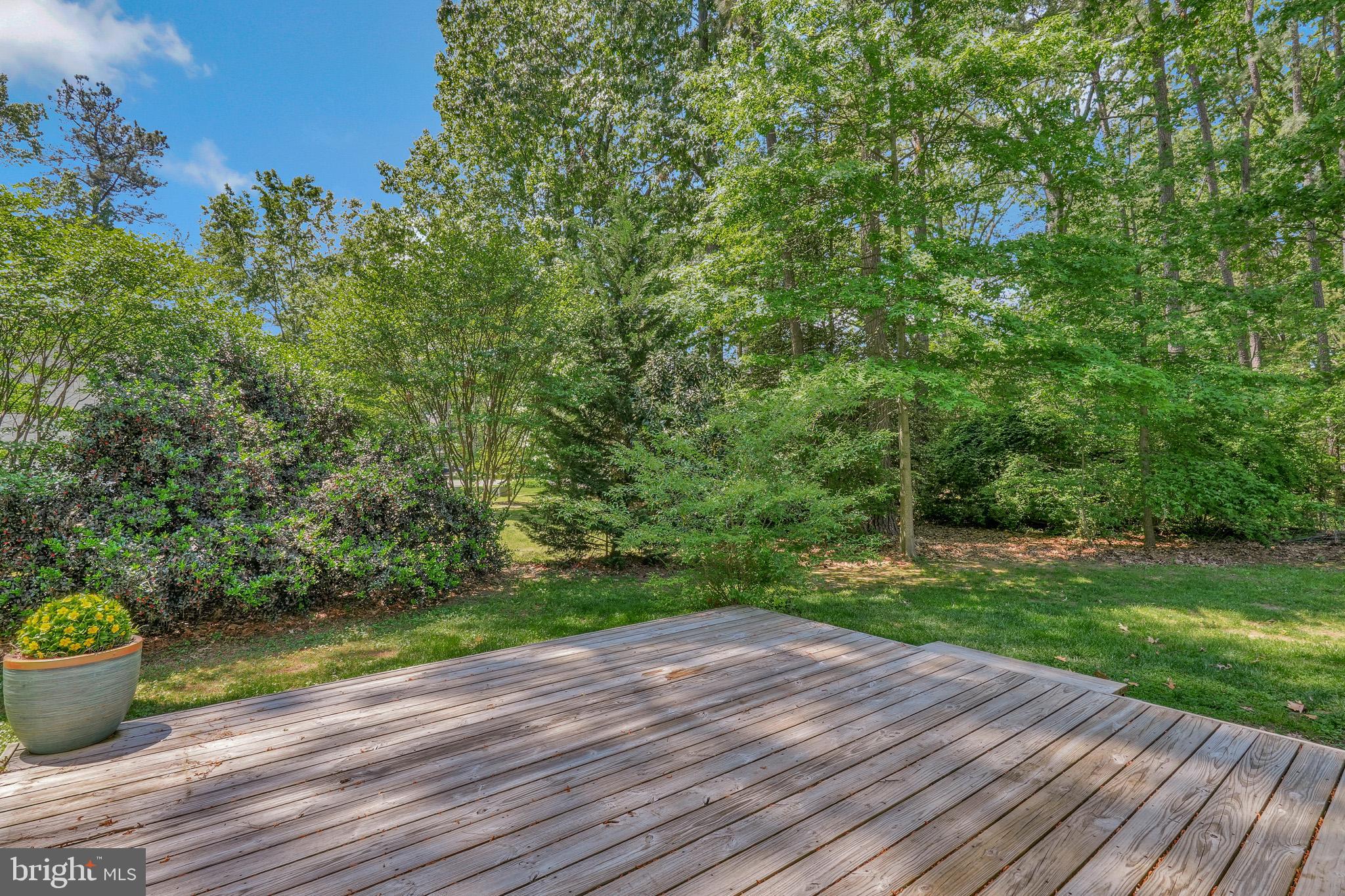 11587 Wollaston Circle Swan Point, MD 20645 - Photo 39 of 55 a view of an outdoor space with a garden