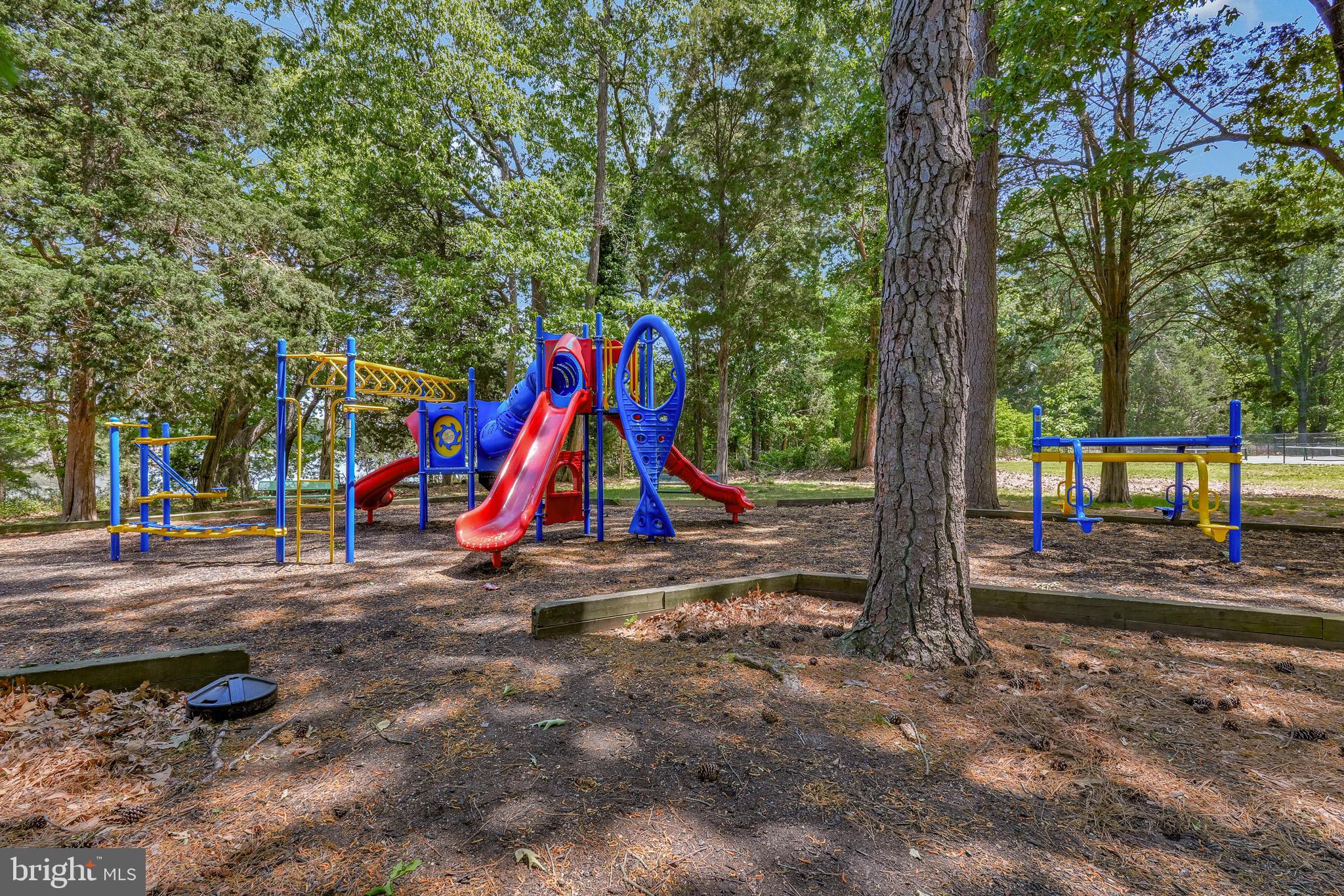 11587 Wollaston Circle Swan Point, MD 20645 - Photo 47 of 55 a view of park with large trees