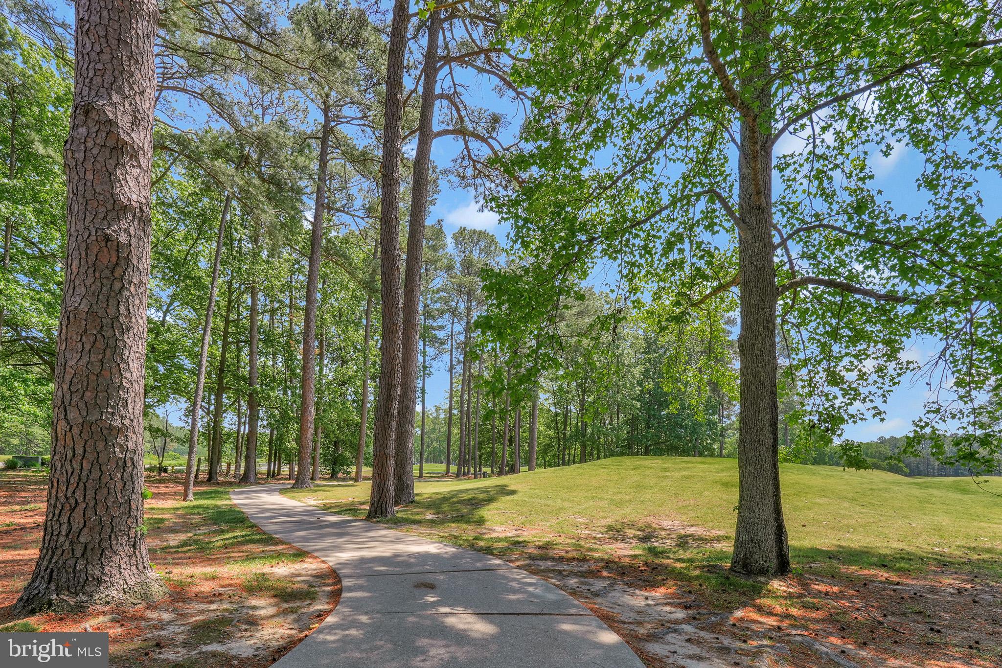 11587 Wollaston Circle Swan Point, MD 20645 - Photo 49 of 55 a view of a tree in the middle of a yard