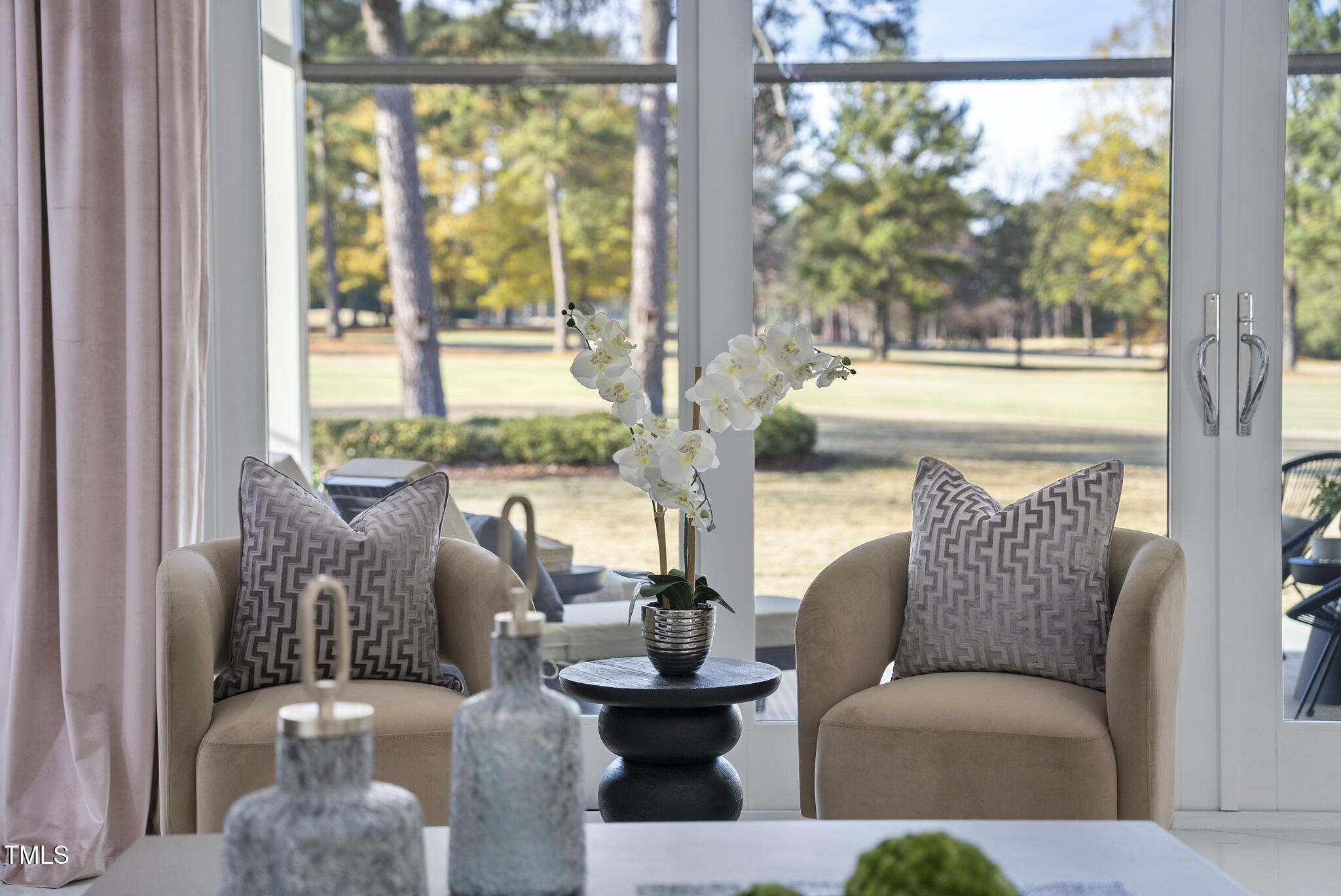 1309 Briarpatch Lane Raleigh, NC 27615 - Photo 12 of 55 Living Room Views
