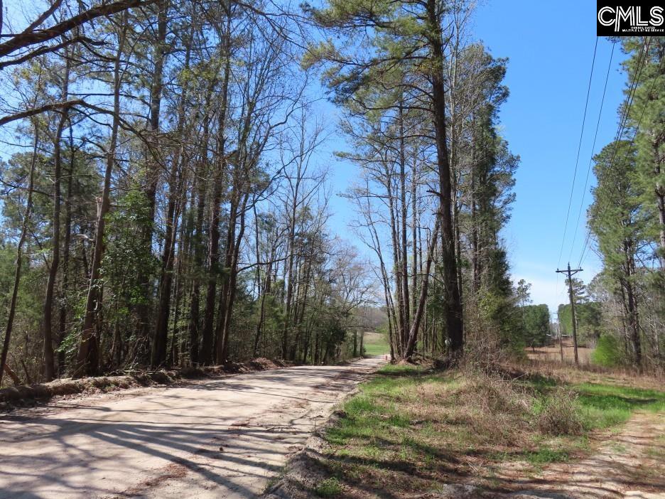 1672 Dixired Road Leesville, SC 29070 - Photo 21 of 67